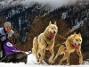 Veggi Giulio (M.FIAP-EFIAP/P) - SLEDDOG RACE 20 -