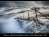 Mugnai-Paolo-Neve-in-val-dOrcia