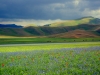 Di Pardo Antonio - Piani di Castelluccio