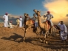 CAMEL-RACE-1-Montini-Giulio-AFI-IFI-EFIAP-G-Casnate-CO