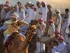 CAMEL-RACE-3-Montini-Giulio-AFI-IFI-EFIAP-G-Casnate-CO